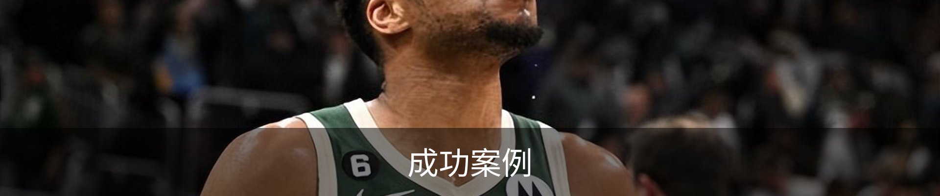 成功案例